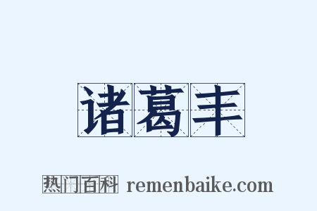 诸葛丰是什么意思的图片